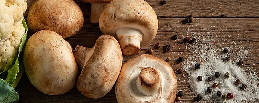 Полезные свойства грибов, о которых рассказывают специалисты