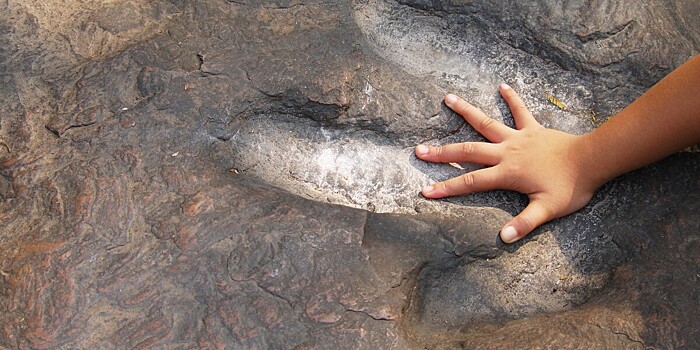 Обнаружены следы динозавров, возраст которых составляет 110 миллионов лет, благодаря засухе