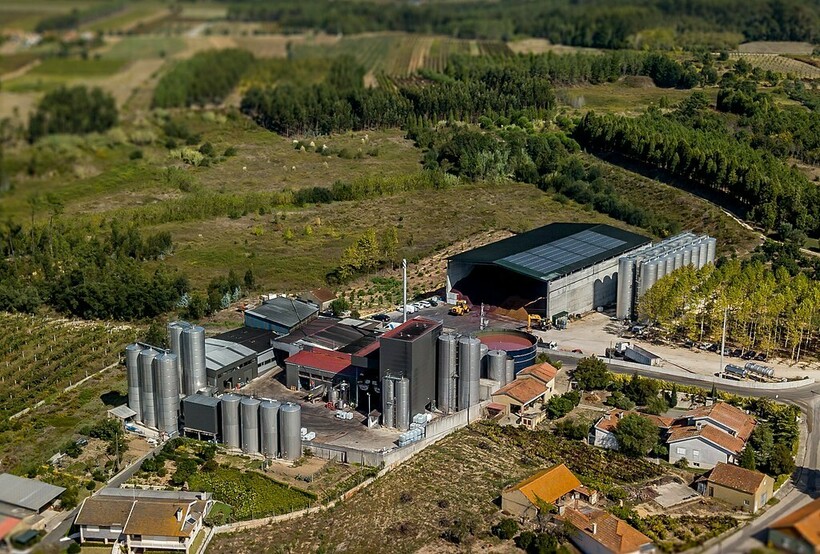 Вина потекла по деревушке в Португалии: история и процесс