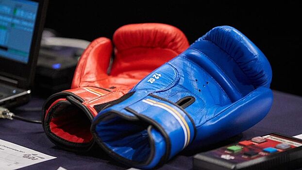 В Севастополе пройдет первый за 10 лет международный турнир по профессиональному боксу