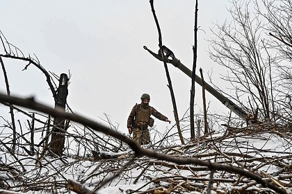 Немецкий журналист описал визит на Украину фразой «крайне драматичная ситуация»