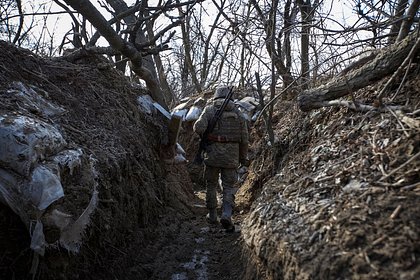 В Чехии рассказали о сбывшемся страхе Украины из-за истощения сил Киева