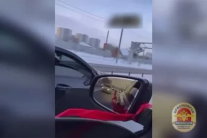 Силовики задержали стрелявших из автомобиля на свадьбе россиян и попали на видео