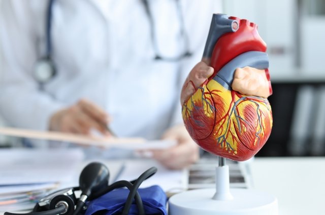 1713859720 100 Не давлением единым Ученые расширили число факторов риска болезней сердца