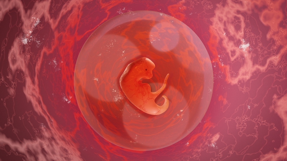 выращена модель человеческого эмбриона третьей недели развития