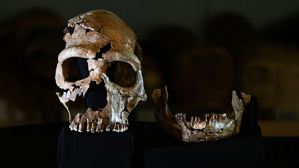 облик неандерталки жившей 75 000 лет назад