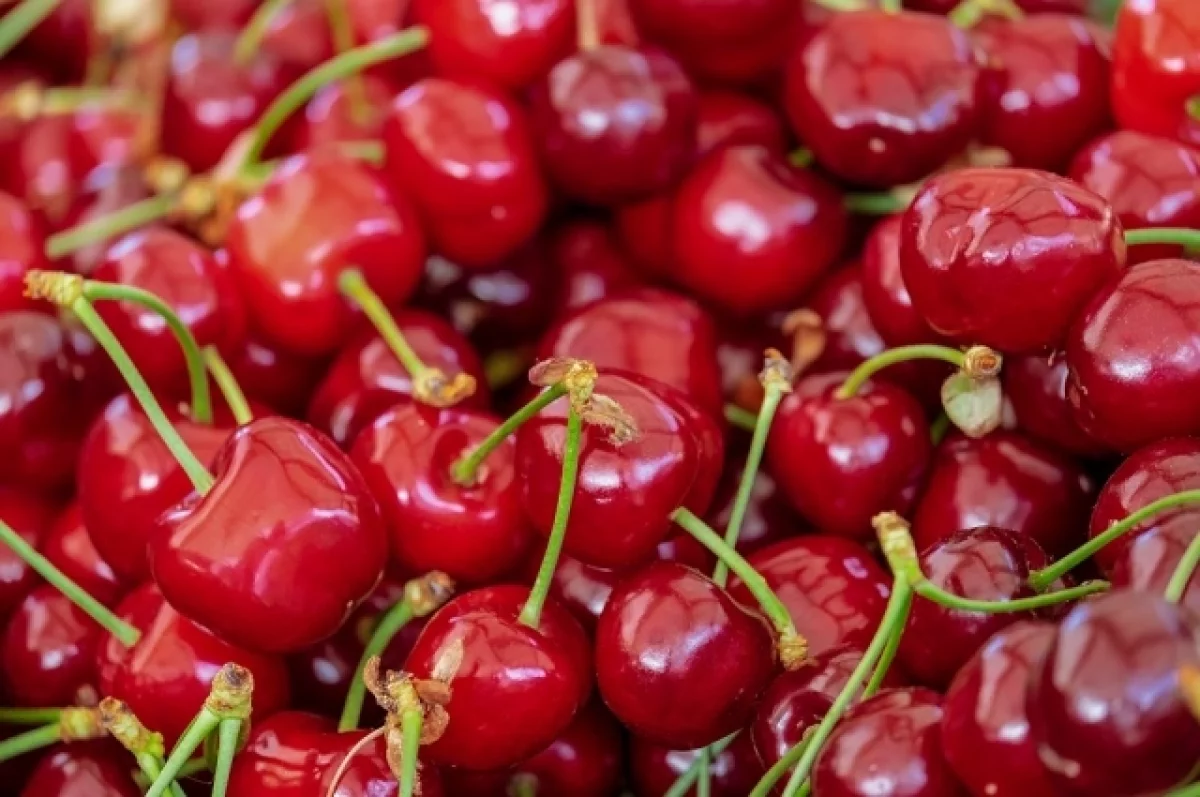 пользы Эксперты назвали ягоду защищающую от рака и болезней