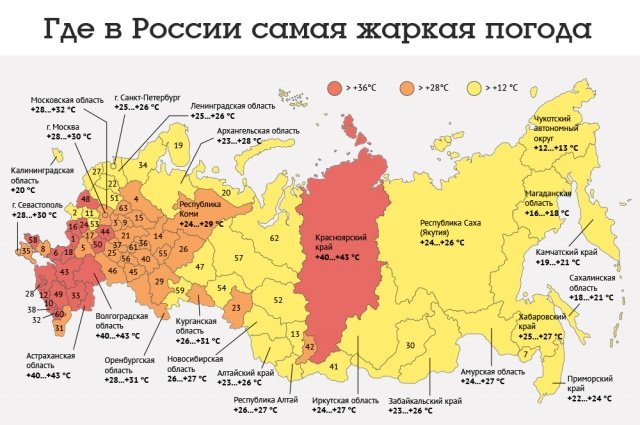 Аномальная жара в России 2024: как выжить? Советы от врачей и экспертов