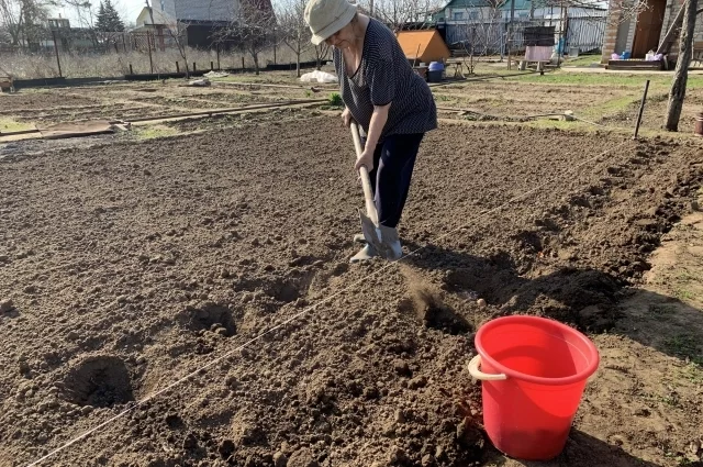 Отдыхать? Эксперт рассказала, можно ли при больной спине работать в огороде