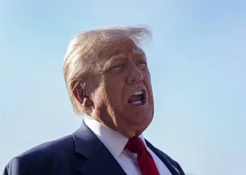 Трамп рассказал об обсуждении с Путиным передачи ракет Tomahawk Киеву