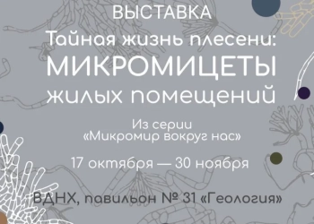 Тайная жизнь плесени